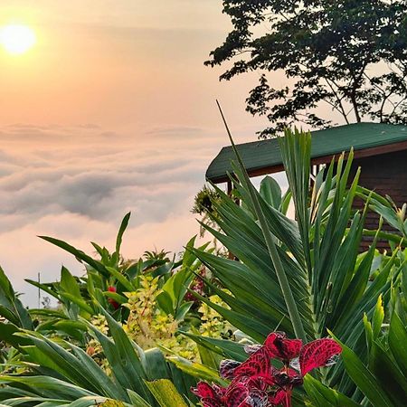 Minca Sintropia - Sustainable Lodge & Organic Coffee Finca Exterior foto
