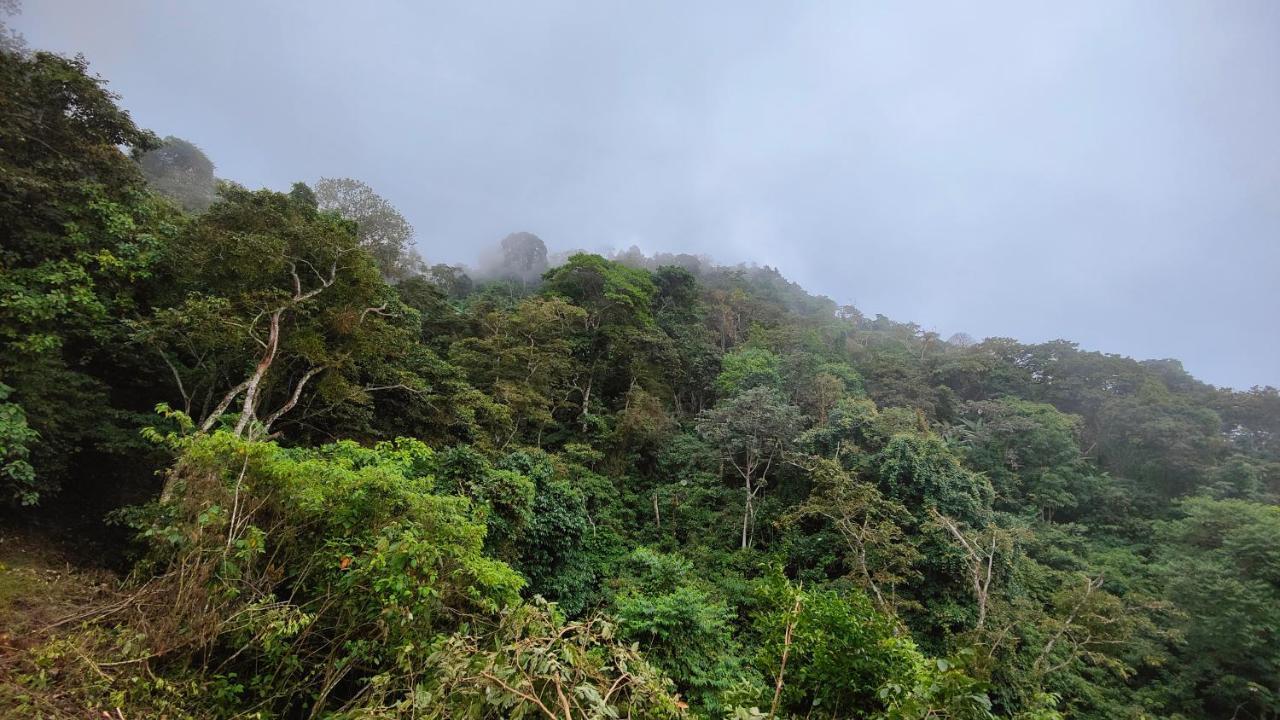 Minca Sintropia - Sustainable Lodge & Organic Coffee Finca Exterior foto