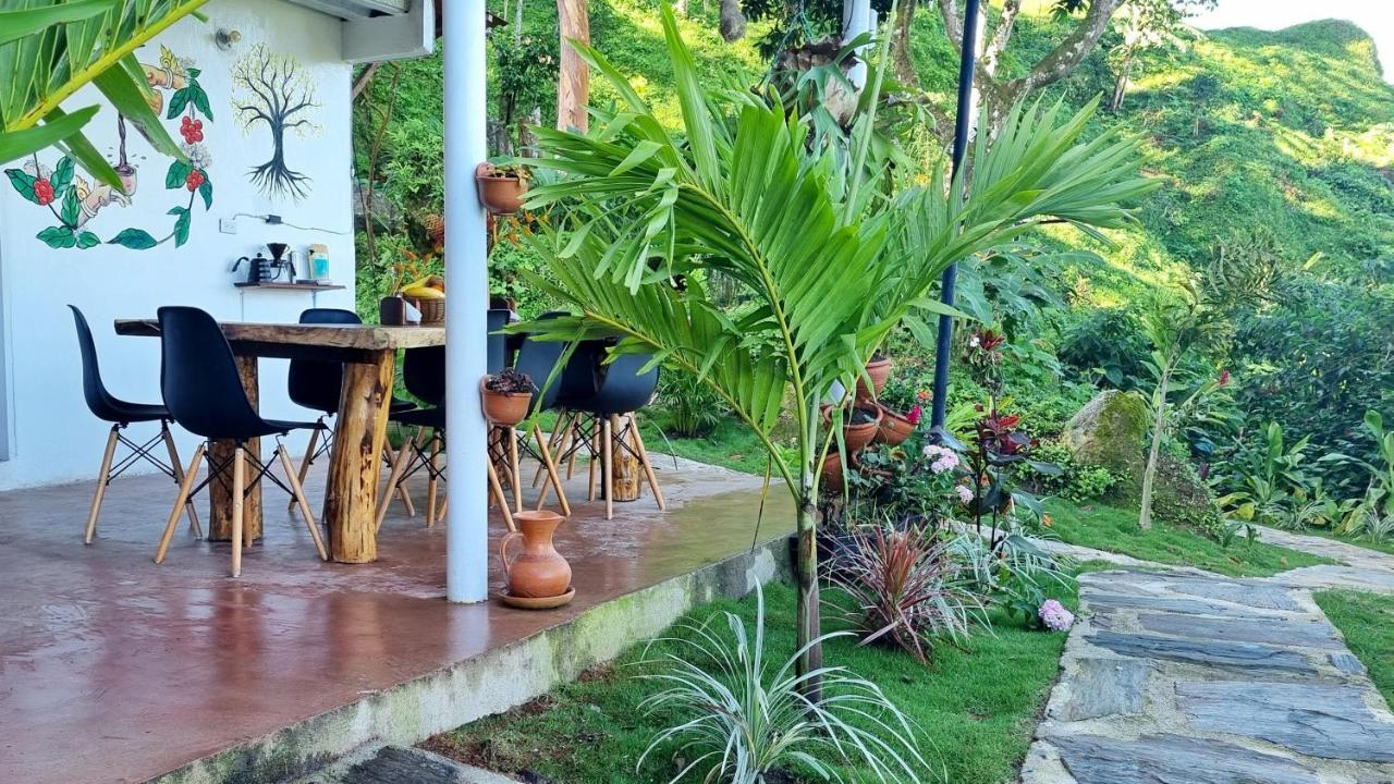 Minca Sintropia - Sustainable Lodge & Organic Coffee Finca Exterior foto