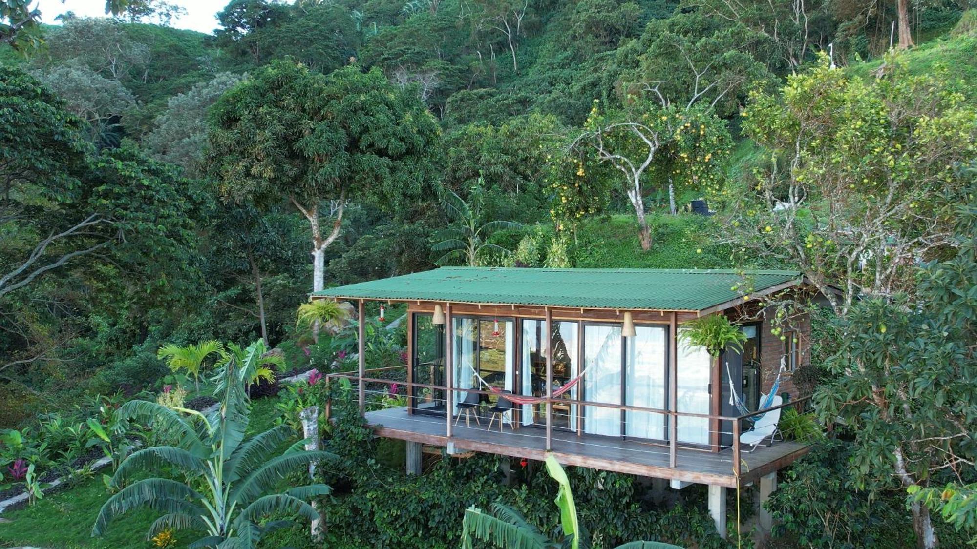 Minca Sintropia - Sustainable Lodge & Organic Coffee Finca Exterior foto