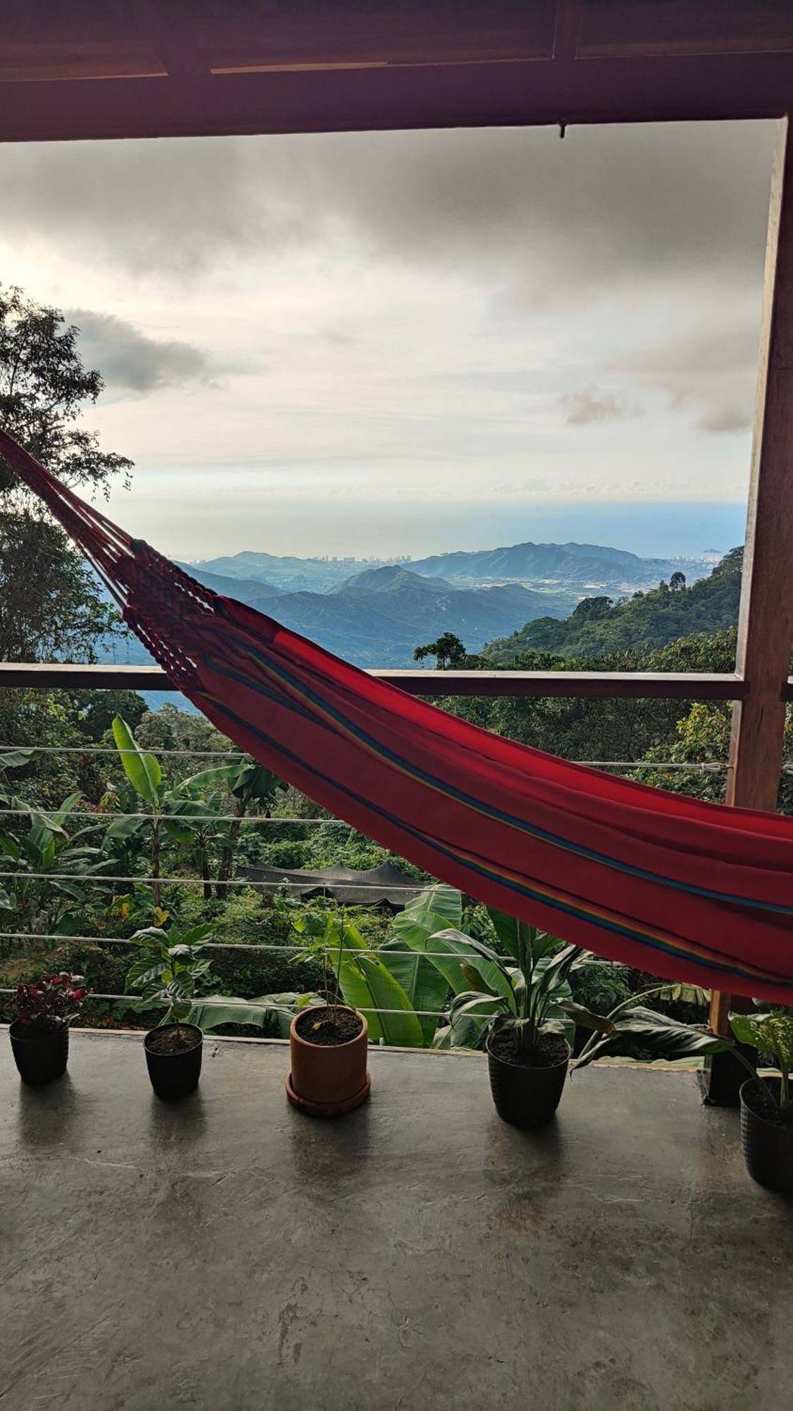 Minca Sintropia - Sustainable Lodge & Organic Coffee Finca Habitación foto
