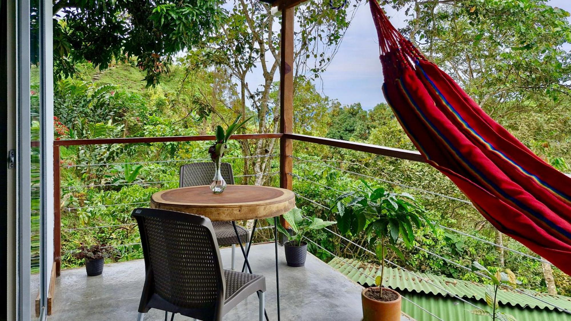 Minca Sintropia - Sustainable Lodge & Organic Coffee Finca Habitación foto