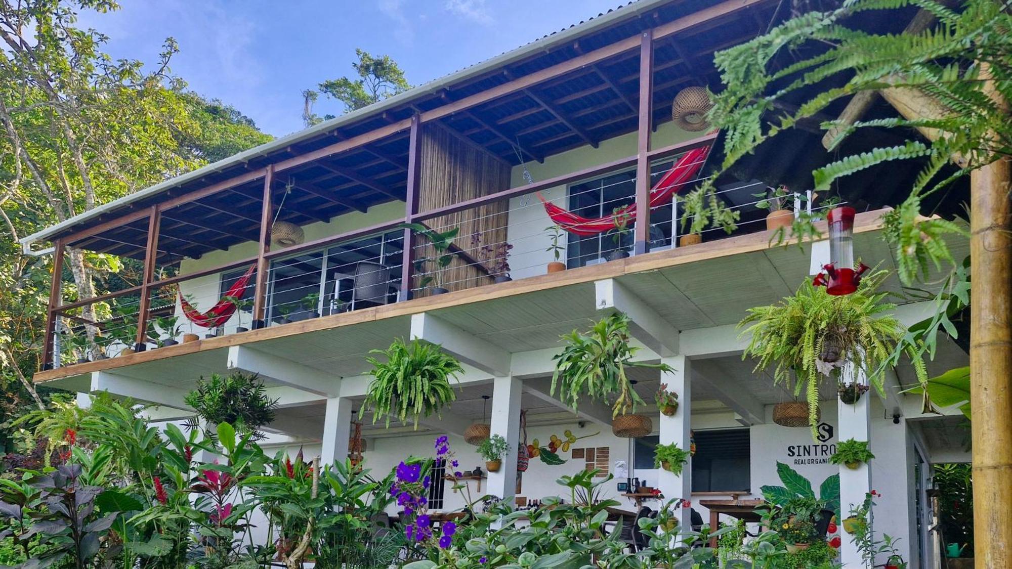 Minca Sintropia - Sustainable Lodge & Organic Coffee Finca Habitación foto
