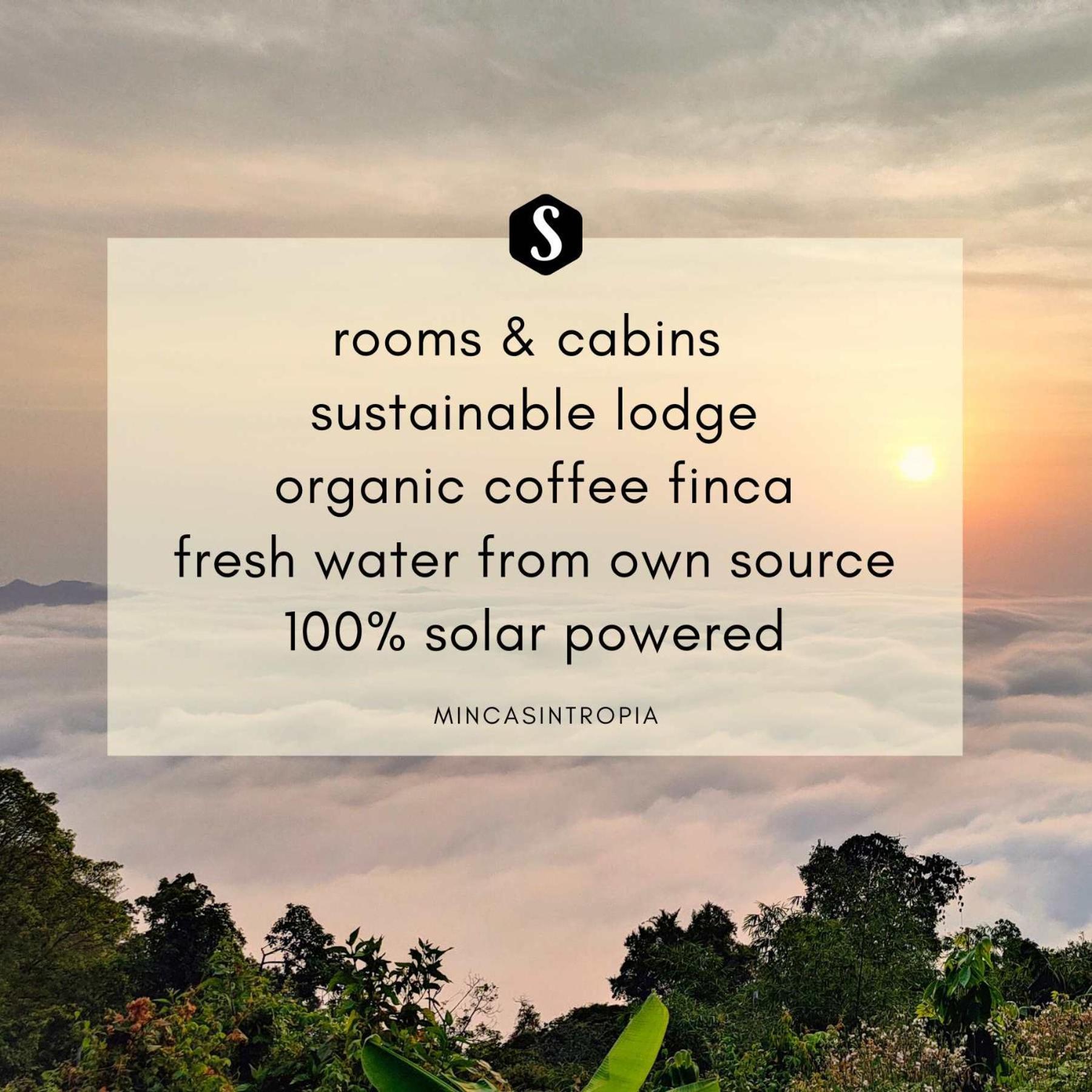Minca Sintropia - Sustainable Lodge & Organic Coffee Finca Exterior foto